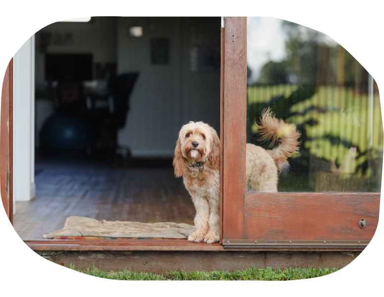 California ESA Letter for Housing