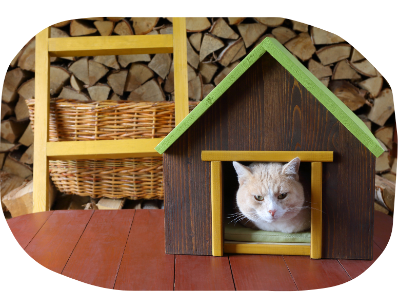 emotional support animal in California